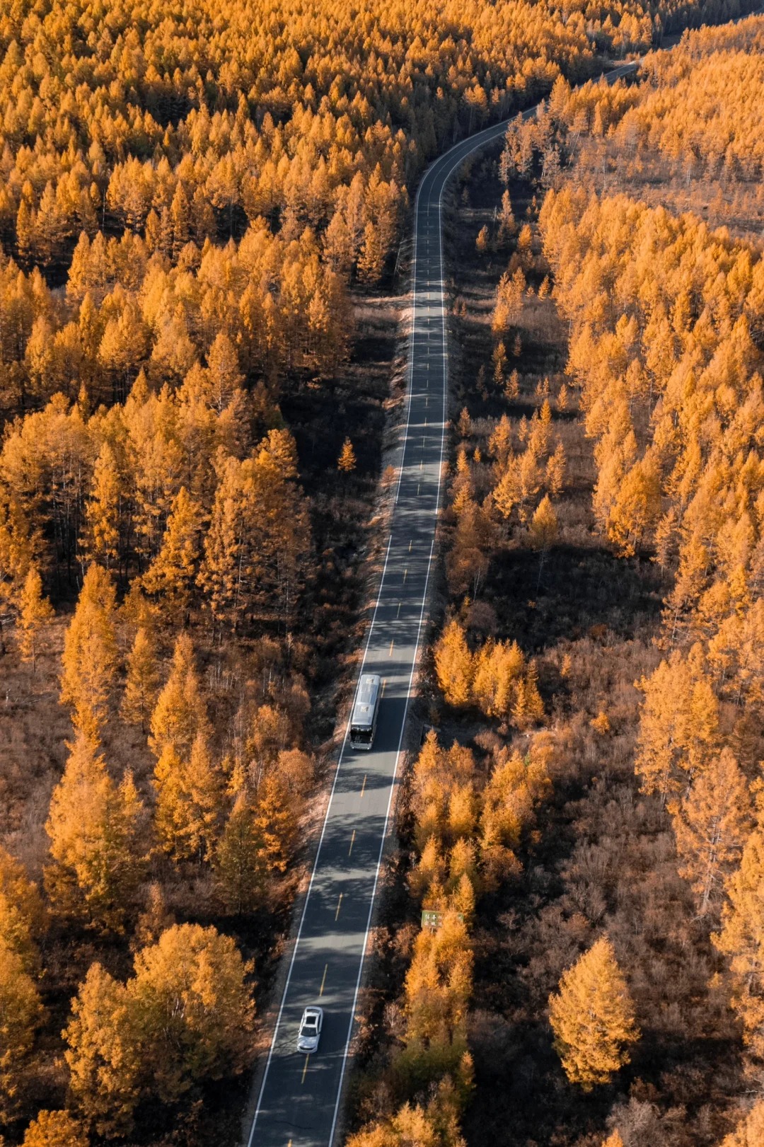 根白公路｜国内秋景自驾天花板（附攻略）_1_斐晓悟_呼伦贝尔-草原-来自52tours 我爱旅游网